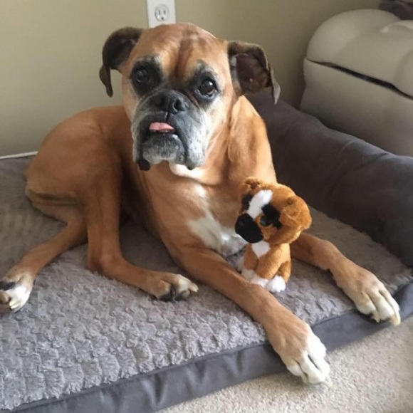 Meet your Posher, Stacy - Picture 5 of 6